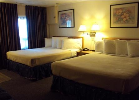 Twin Peaks Motel Napanee Ngoại thất bức ảnh