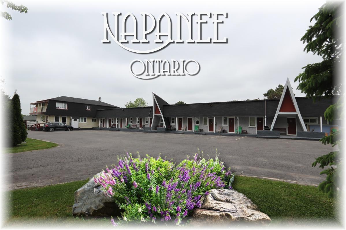 Twin Peaks Motel Napanee Ngoại thất bức ảnh